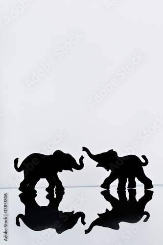 Photo: Elephant pair reflection Elephant pair reflection