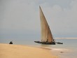 Boutre à zanzibar