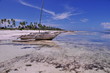 Boutre à zanzibar