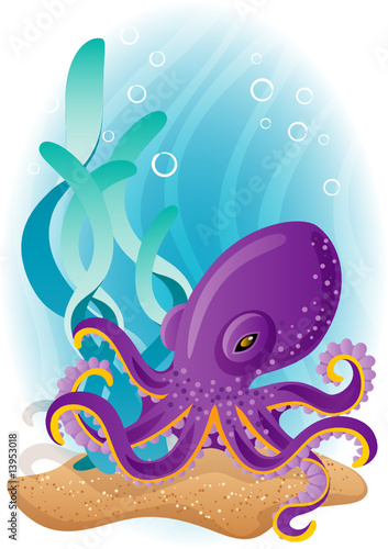 Vector: octopus octopus