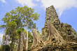 Preah Palilay Temple, Cambodia