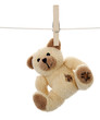 Petit ours brun suspendu sur une ligne