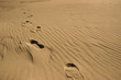 a track