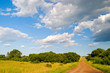 Dirt Road