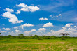 African Landscape