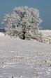 Winterlandschaft