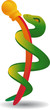 Caduceus Icon