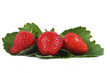 fragole con foglie
