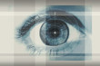 eye eye