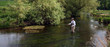 Flyfisher