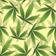 marijuana