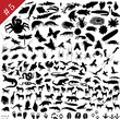 animals silhouette set #5
