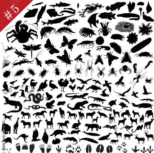 Animals Silhouette Set #5