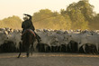 Gaucho im Pantanal
