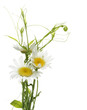 Flower design