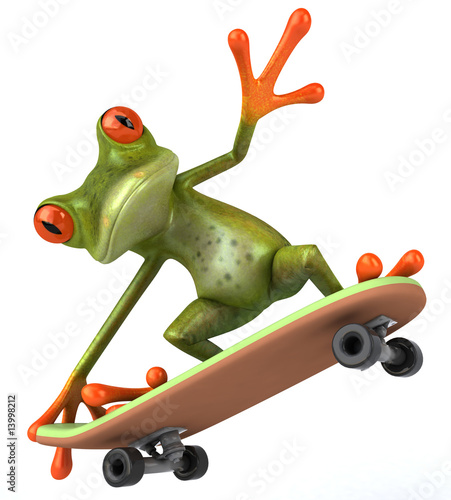 Grenouille en skateboard