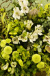 Green flowers