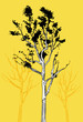 Tree Tree
