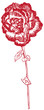 Red Rose Drawing