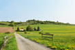 Tage des Frühjahrs Tage des Frühjahrs
