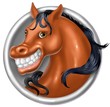 cavallo snile