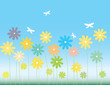 Spring 1 Spring 1
