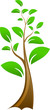 Editable Illustration of vector tree