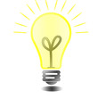 Lumiere