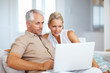 Couple working on a laptop at home