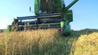 Combine Harvesting Wheat