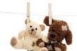 Deux peluches accrochées ensemble sur une ligne