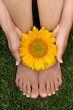 Pedicured Feet on Grass