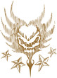 Skull Star Skull Star