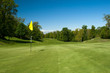 Balle de golf sur un green en été