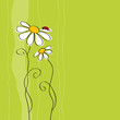 greeting card greeting card