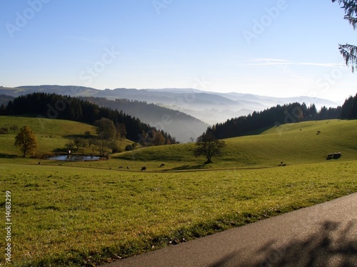 Foto: Bei St. Märgen Bei St. Märgen