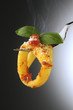 Ziti fumanti al pomodoro - Primi piatti cucina italiana