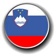 slovenia flag icon - button slovenia flag icon - button