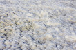 dead sea textures