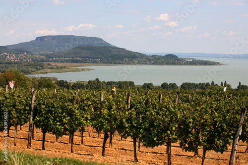 Foto: Balaton landspace Balaton landspace