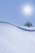 Schneewehe, Oetztal, Baum, Sonne