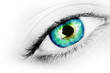Multicolured eye