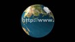 world wide web