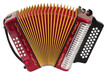 Accordion. Clipping path.