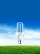 Energy saving Eco light bulb