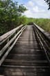 path on everglades path on everglades