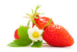 fraises, fleur et feuille - fruit rouge détouré sur fond blanc fraises, fleur et feuille - fruit rouge détouré sur fond blanc