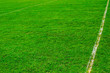 grass sport pitch background