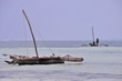 Boutre à zanzibar