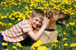 Boy, dog and yellow meadow.